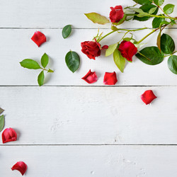 Similar image 15927456