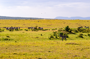 Similar image 15923678