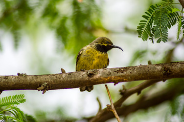 Similar image 15924318