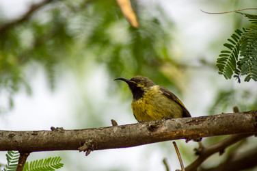 Similar image 15924426