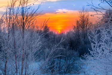 Similar image 15923475