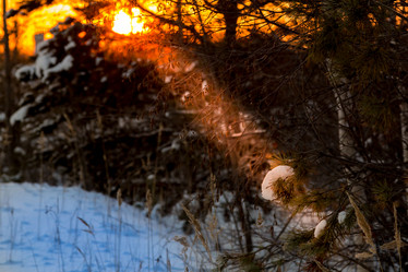 Similar image 15923477