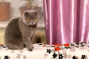 Similar image 15923486