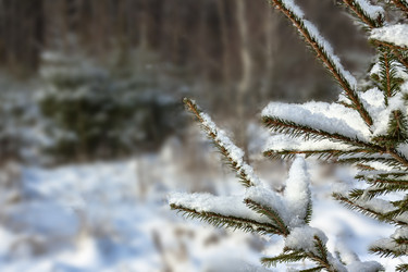 Similar image 16571647