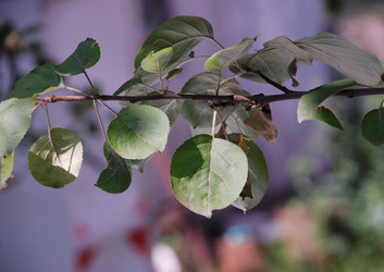 Similar image 15923430