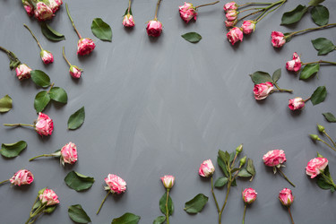 Similar image 16223497