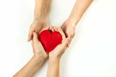 Similar image 16223239