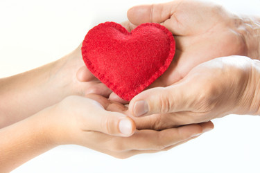 Similar image 16223252