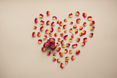 Similar image 16223304