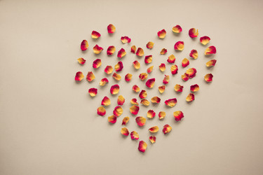 Similar image 16223306