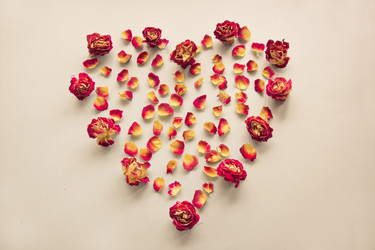 Similar image 16223275