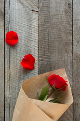 Similar image 16223277