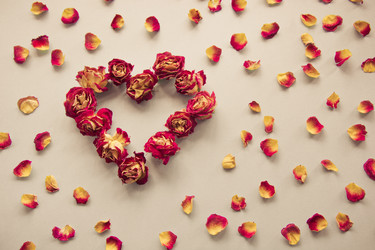 Similar image 16223287