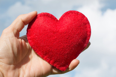 Similar image 16223293