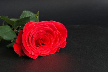 Similar image 16223314