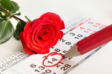 Similar image 16223330