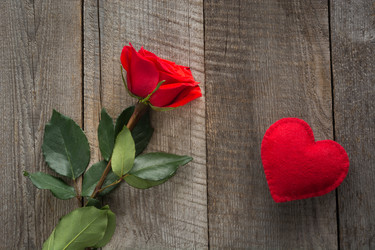 Similar image 16223331