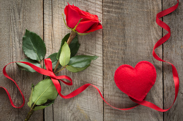 Similar image 16223399