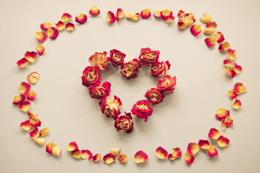 Similar image 16223414