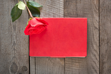 Similar image 16223432