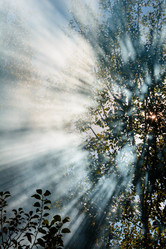 Similar image 16223295