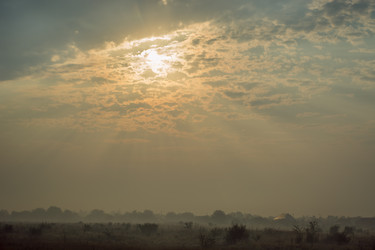 Similar image 16223359