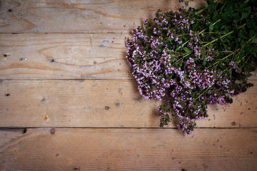 Similar image 16017896