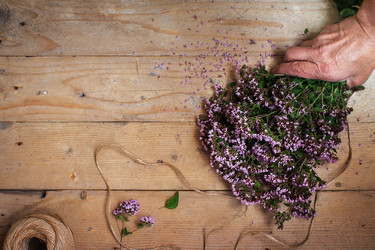 Similar image 16017910