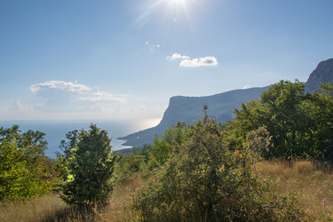 Similar image 16223437