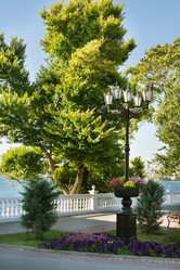 Similar image 16223452