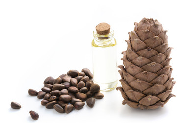 Similar image 16305232