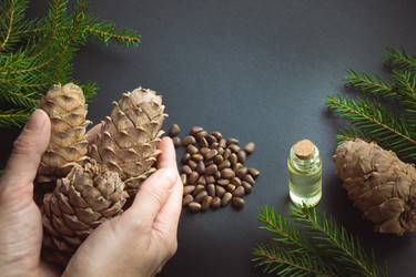 Similar image 16305300