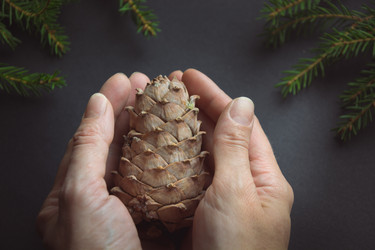 Similar image 16305326