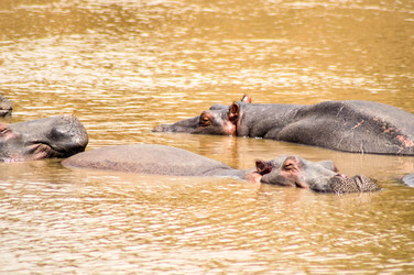 Similar image 15926059