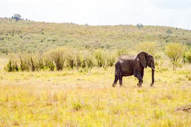 Similar image 15928891