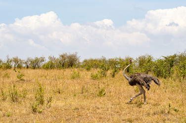 Similar image 15926344