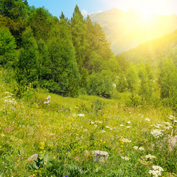 Similar image 15928920