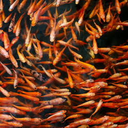 Similar image 15928927