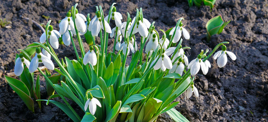 Similar image 15928944