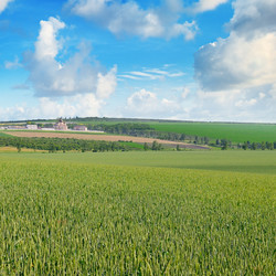 Similar image 15928946