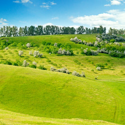 Similar image 15928950