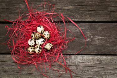 Similar image 16223417