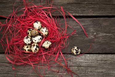 Similar image 16223418