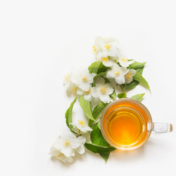 Similar image 16313310