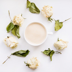 Similar image 16223525