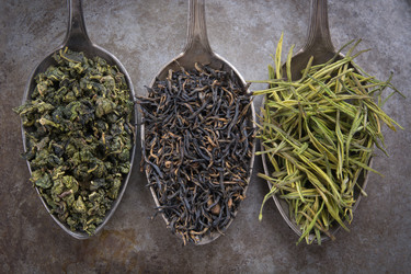 Similar image 16223183