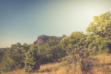 Similar image 16314622