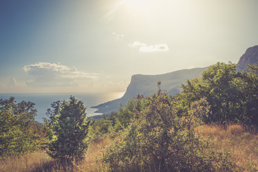 Similar image 16314660