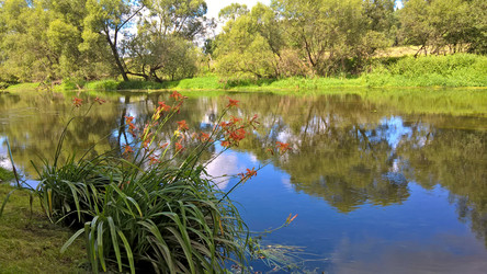 Similar image 15928970