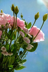 Similar image 15928889